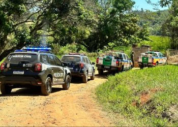 Operação conjunta resulta na apreensão de quase 300 pássaros silvestres e prisão de 13 pessoas no Sul de Minas