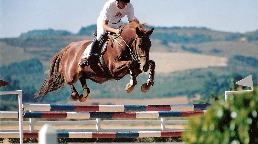 Grande final do Circuito Hípico Sul Mineiro será em Poços de Caldas