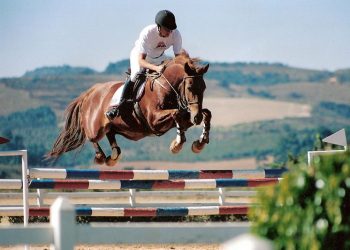 Grande final do Circuito Hípico Sul Mineiro será em Poços de Caldas