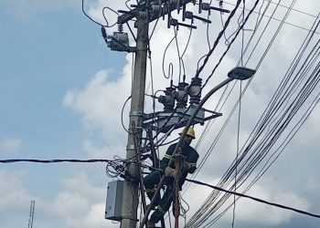 Pomba provoca curto circuito e deixa quase 10 bairros sem luz em Poços de Caldas