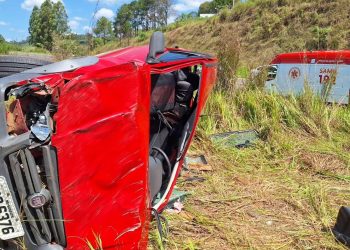 Motorista fica ferido em acidente após tentar desviar de cachorro na BR-146