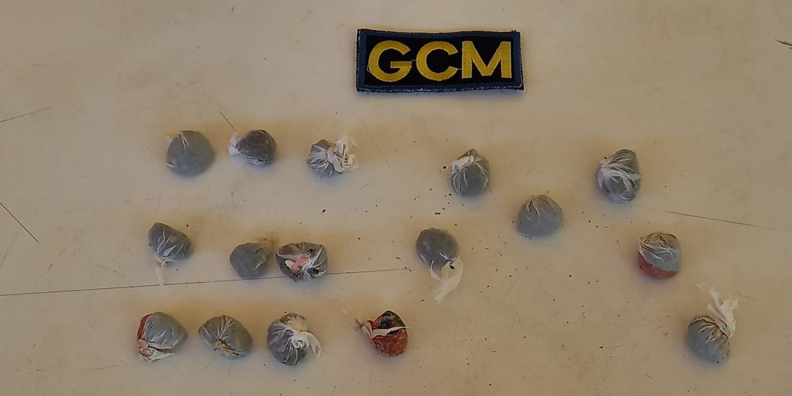 GCM apreende drogas próximo à biblioteca municipal em Poços de Caldas