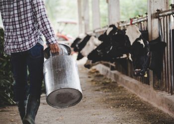 Pecuarista será indenizada em R$ 7 mil por falta de energia no sul de Minas