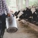 Pecuarista será indenizada em R$ 7 mil por falta de energia no sul de Minas