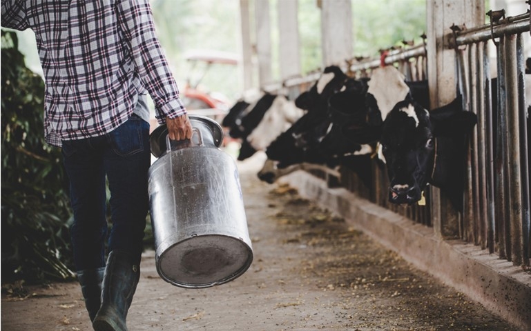 Pecuarista será indenizada em R$ 7 mil por falta de energia no sul de Minas