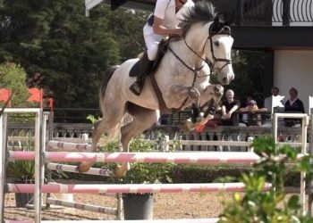 Com entrada gratuita, Circuito Sul Mineiro Hipismo acontece em Poços de Caldas até este domingo