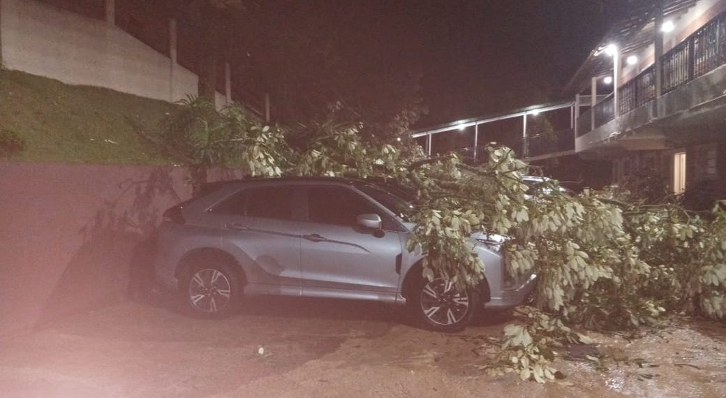 Árvore de grande porte cai e atinge cinco carros em estacionamento de hotel em Poços de Caldas