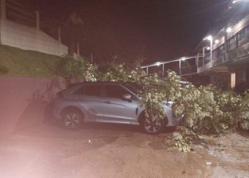 Árvore de grande porte cai e atinge cinco carros em estacionamento de hotel em Poços de Caldas