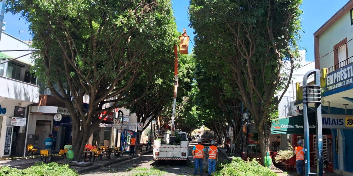 Rua São Paulo fica interditada para poda de árvores e decoração de natal em Poços de Caldas