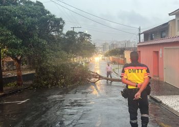 Chuva provoca queda de árvores em Poços de Caldas