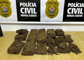 Polícia Civil apreende mais de 10 kg de maconha em Poços de Caldas; VÍDEO