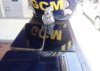 Dupla é detida com droga e celulares na zona oeste de Poços de Caldas