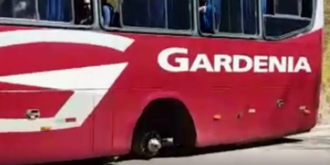 Comissão da ALMG pede fim do contrato com viação Gardênia
