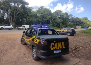 Em operação conjunta com a PRF, cão de faro da GCM de Poços localiza droga em carro