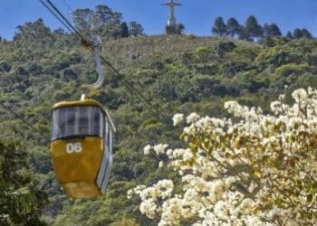 Exposição ‘Natureza Urbana’ do fotógrafo Victor Imesi inicia circulação nesta quinta-feira