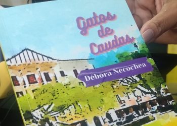 Livro “Gatos de Caudas” é lançado neste sábado em Poços