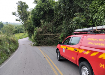 Árvores caem em estradas da região