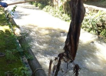 Chuvas intensas marcam início de dezembro e Defesa Civil emite alerta