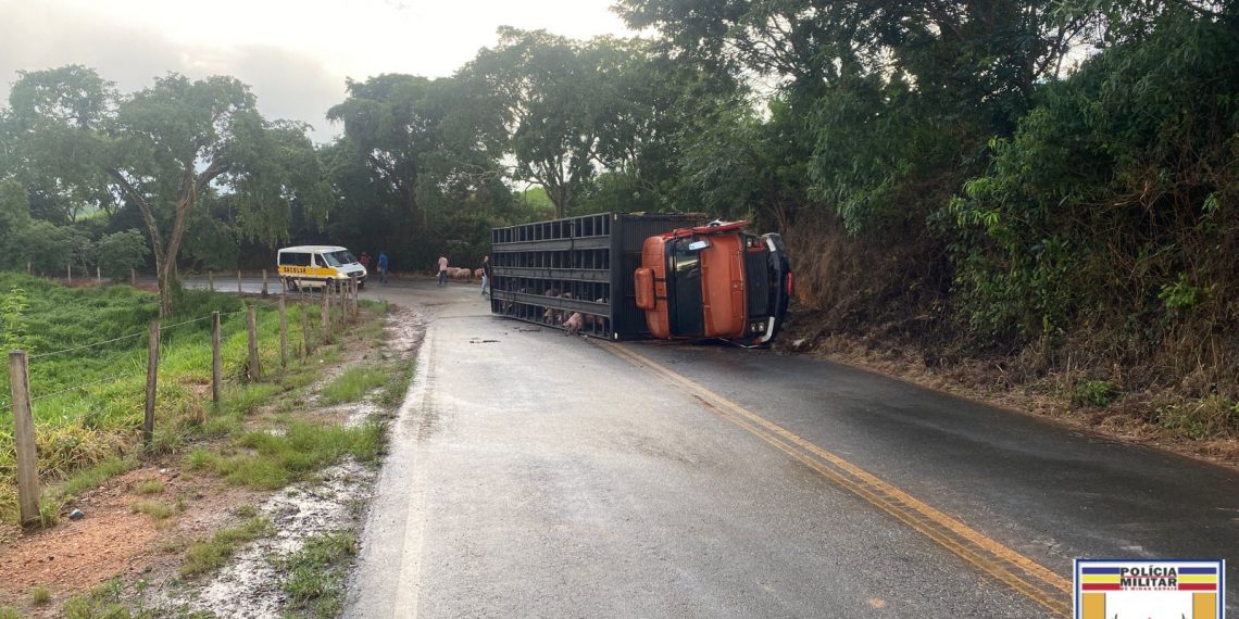 Caminhão que transportava suínos tomba em Botelhos