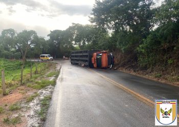 Caminhão que transportava suínos tomba em Botelhos