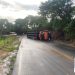 Caminhão que transportava suínos tomba em Botelhos