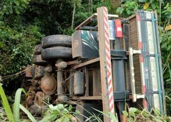 Motorista fica ferido após caminhão tombar e cair em ribanceira em Campestre