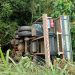 Motorista fica ferido após caminhão tombar e cair em ribanceira em Campestre