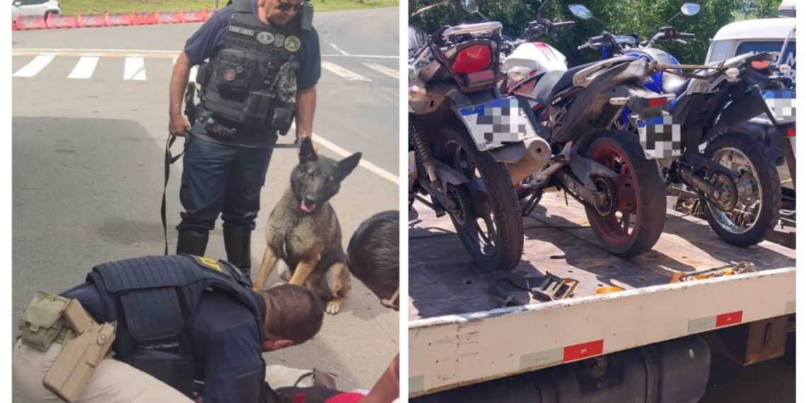 GCM, Demutran e PRF realizam operação conjunta em Poços de Caldas