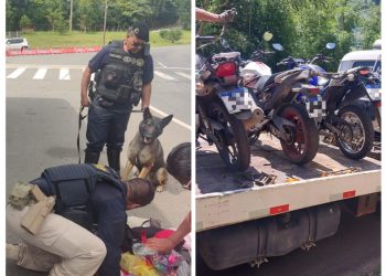 GCM, Demutran e PRF realizam operação conjunta em Poços de Caldas