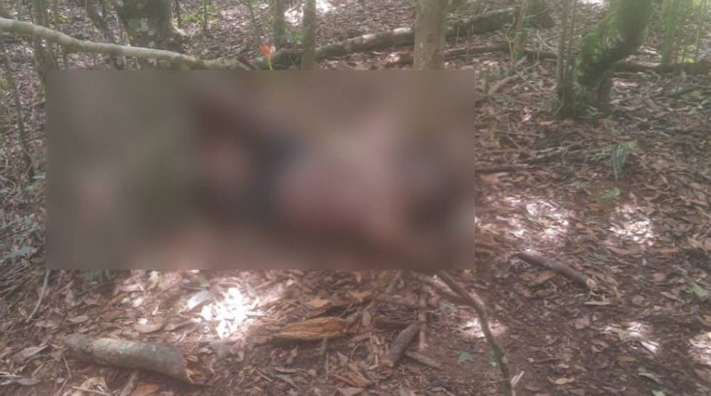 Júri condena réu a 30 anos de prisão por tortura e assassinato de homem confundido com estuprador