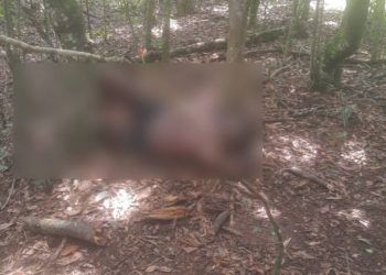 Júri condena réu a 30 anos de prisão por tortura e assassinato de homem confundido com estuprador