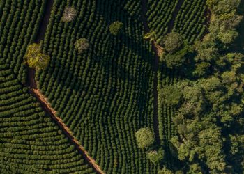 Poços está entre as 100 melhores cidades para fazer negócios no país, segundo pesquisa