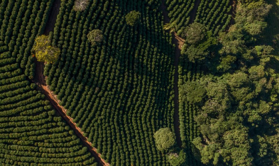 Poços está entre as 100 melhores cidades para fazer negócios no país, segundo pesquisa