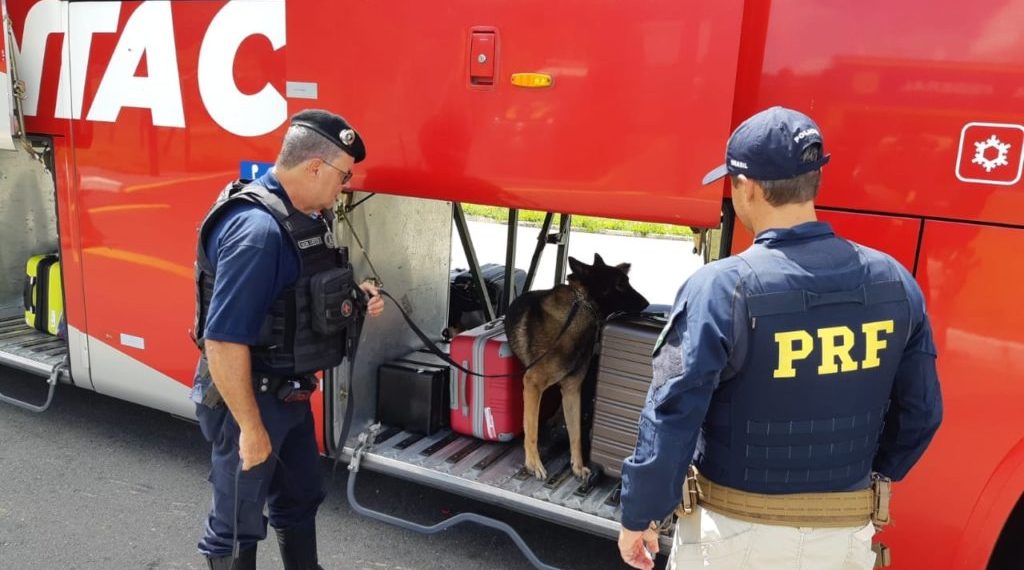 Operação conjunta entre GCM e Polícia Rodoviária Federal reforça combate ao tráfico de drogas