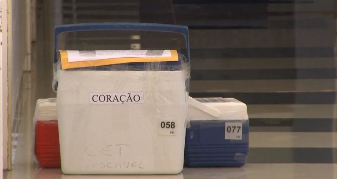 Minas registra melhor ano da história em doações de múltiplos órgãos; saiba como ser um doador