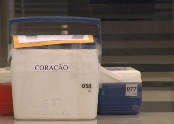 Minas registra melhor ano da história em doações de múltiplos órgãos; saiba como ser um doador