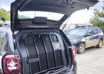 Avô é preso e indiciado pelo estupro do neto de 3 anos no sul de Minas