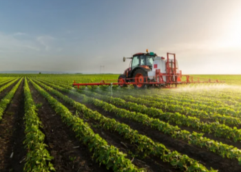 Agropecuária liderou geração de empregos em Andradas em novembro