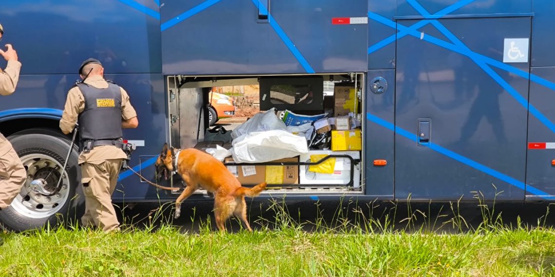 Operação Faro Fino 2024 é lançada em Poços de Caldas