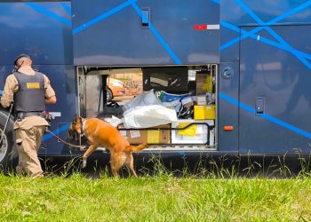 Operação Faro Fino 2024 é lançada em Poços de Caldas