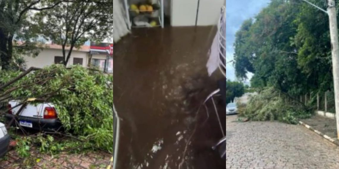 Tempestade derruba árvores, alaga ruas e causa prejuízos em São José do Rio Pardo-SP