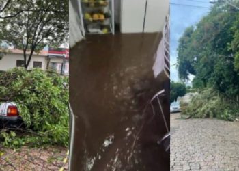 Tempestade derruba árvores, alaga ruas e causa prejuízos em São José do Rio Pardo-SP