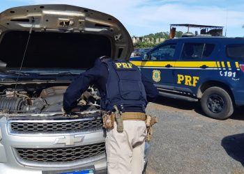 Polícia Rodoviária Federal recupera caminhonete furtada há quase 1 ano na BR-146