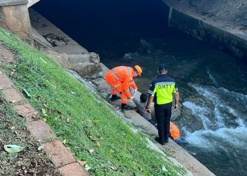 Embriagado, homem em situação de rua é resgatado após cair em ribeirão de Poços de Caldas