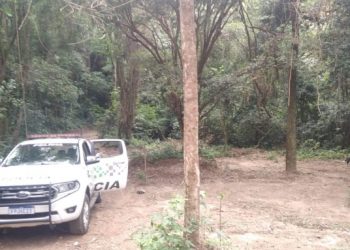 Homem é multado em mais de R$ 8 mil por suprimir vegetação nativa em São João da Boa Vista-SP