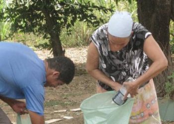Prevenção contra a dengue deve ocorrer também em propriedades rurais