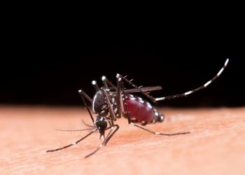 Prefeitura de Andradas decreta Estado de Emergência em Saúde Pública contra dengue