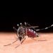 Prefeitura de Andradas decreta Estado de Emergência em Saúde Pública contra dengue