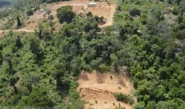 Meio Ambiente Estadual reforça combate ao desmatamento em Minas