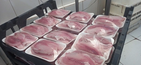 Bandeira do Sul é alvo de fiscalização ambiental no setor alimentício